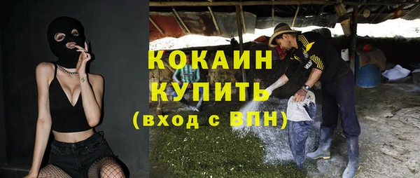 стаф Белокуриха