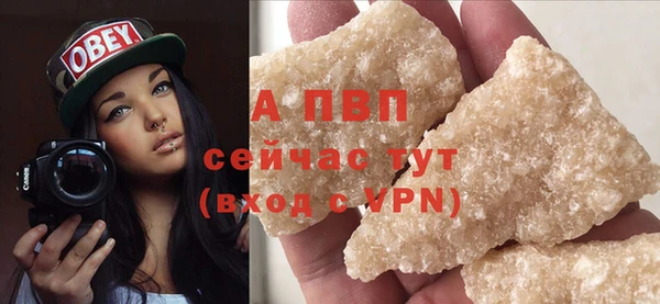 стаф Белокуриха