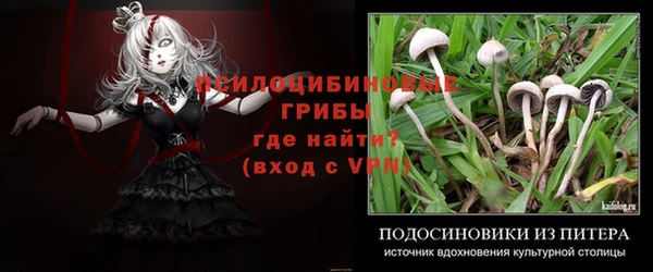 стаф Белокуриха