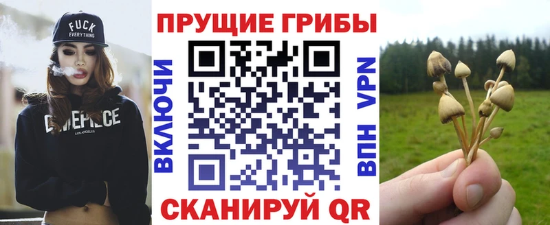 Псилоцибиновые грибы ЛСД  OMG tor  Кропоткин 